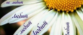 Любит не любит: почему мы до сих пор доверяем старинным гаданиям